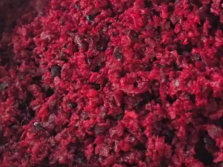 Crushed beetroot before pressing