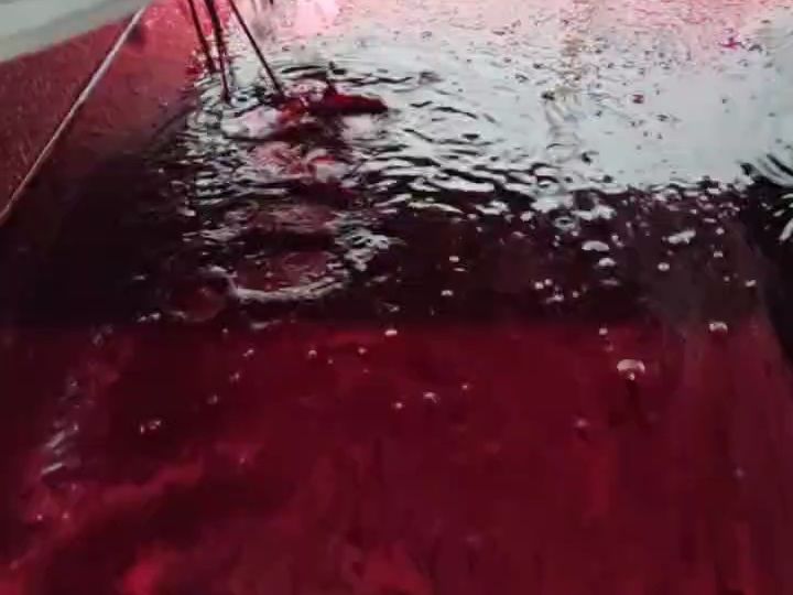 Direct-pressed beetroot juice flowing from the press