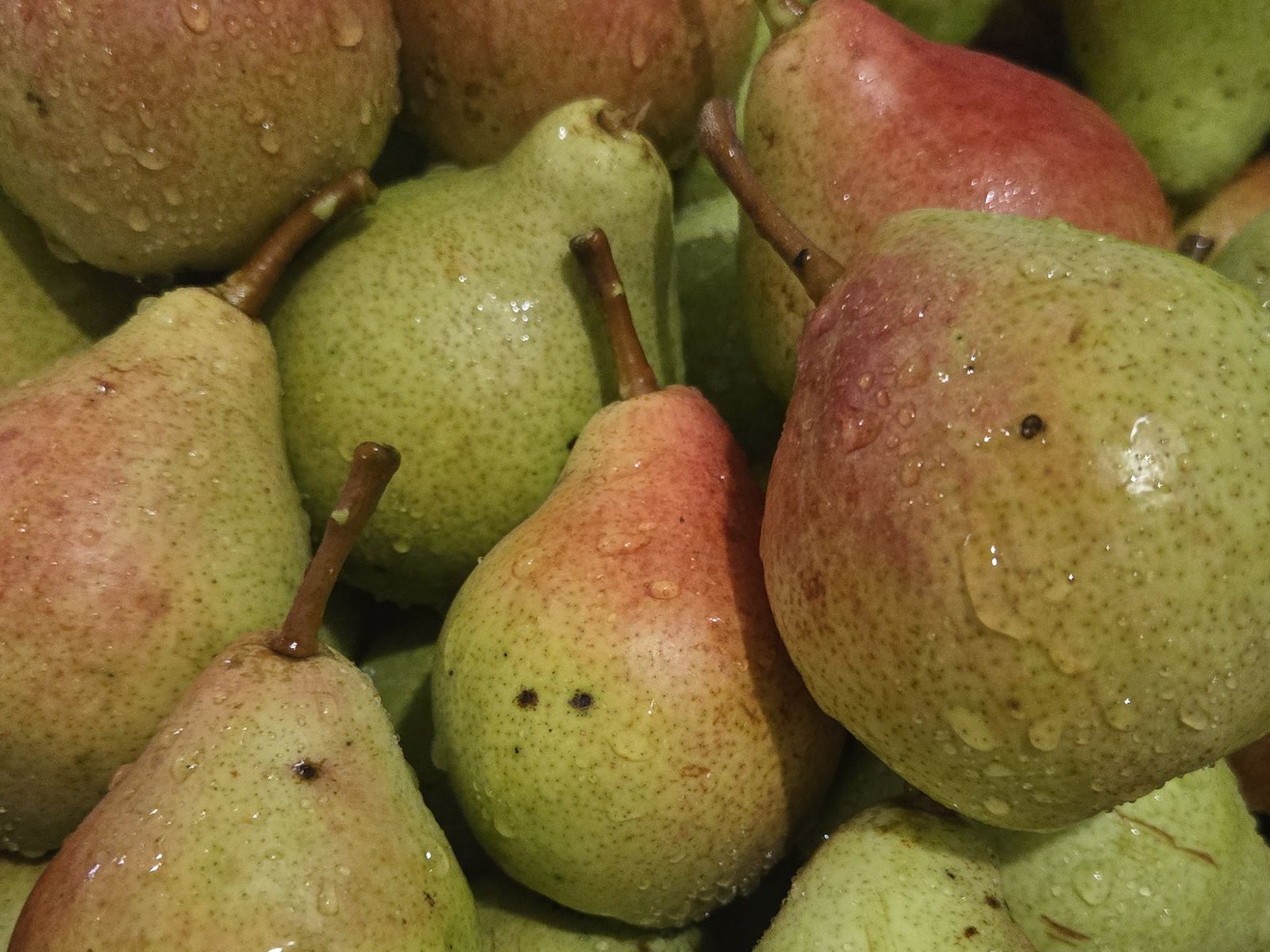 Washed pears before juicing