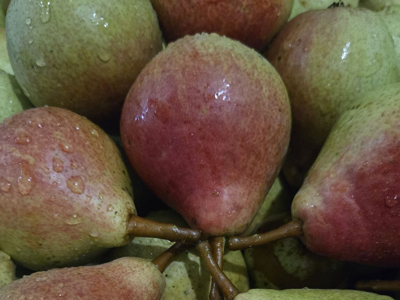 Ripe pears for pear juice