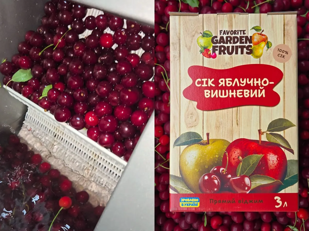 Вишні на виробництві та упаковка яблучно-вишневого соку